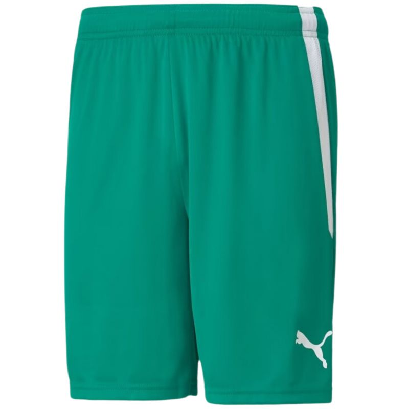 Puma teamLiga M 704924 05 shorts Ruházat