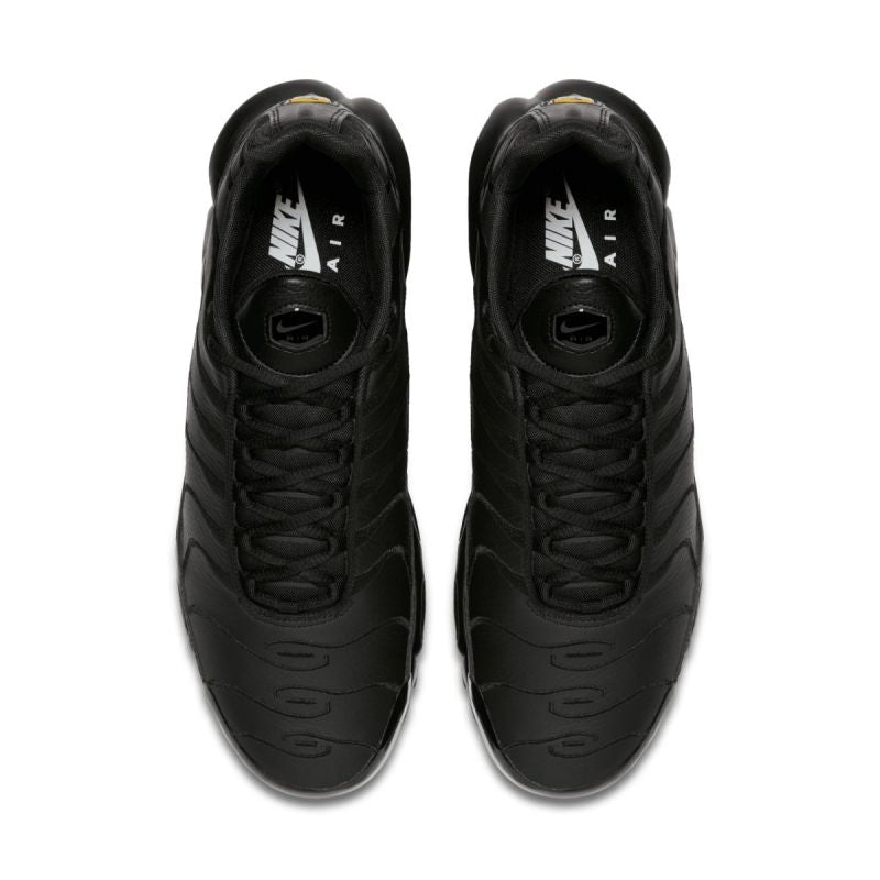 Nike Air Max Plus M AJ2029-001 shoes