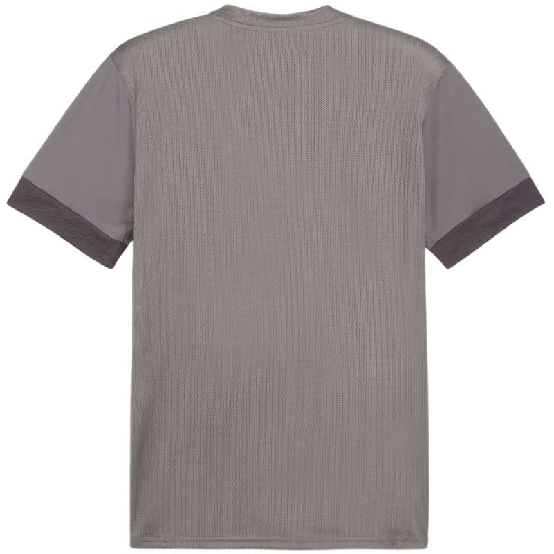 Puma teamGoal Matchday Jersey M 705747 13 póló