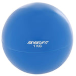 Enero Weight Ball With 1kg Weight, Fit kék balls, training equipment