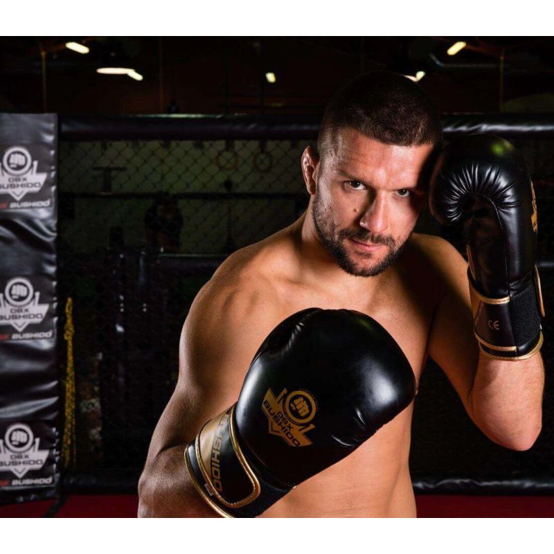 DBX Bushido 10oz Boxing Gloves - Infinity - Origin Series kesztyű