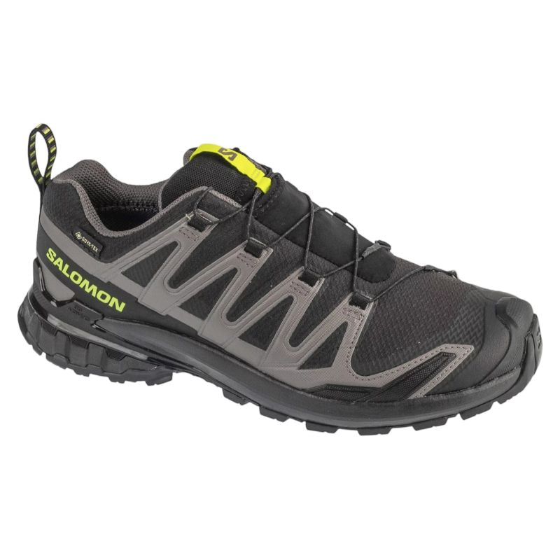 Salomon XA Pro 3D v9 GTX Black
