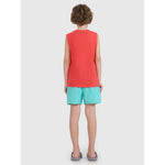Boys' boardshorts 4F 4FJWSS25UBDSM117-47S 158/164 short