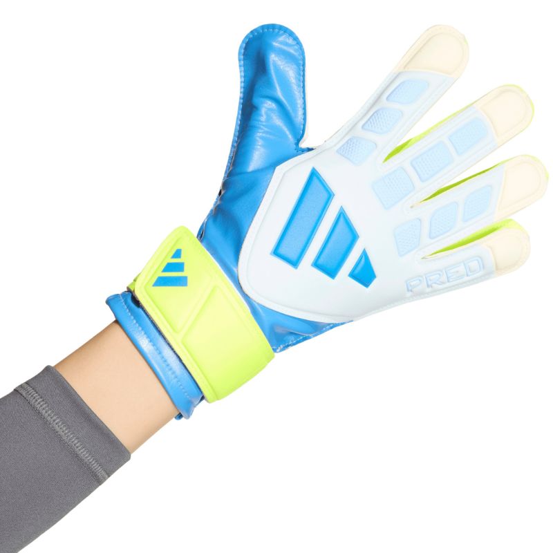 Kép alternatív szöveg