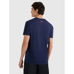 Men's regular printed T-shirt 4F 4FRAW25TTSHM3364-31S