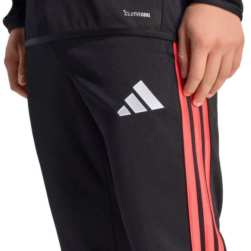 Kép alternatív szöveg