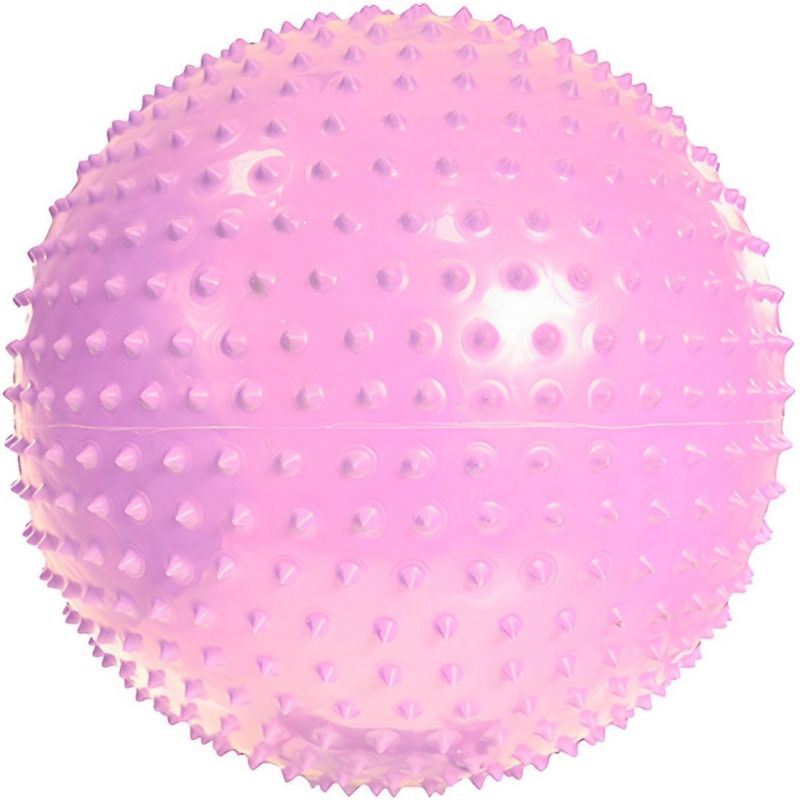 Inny PROFIT Gymnastics with Massage 55cm Purple DK 2104 Labda