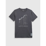Men's regular printed T-shirt 4F 4FRAW25TTSHM3845-22S póló