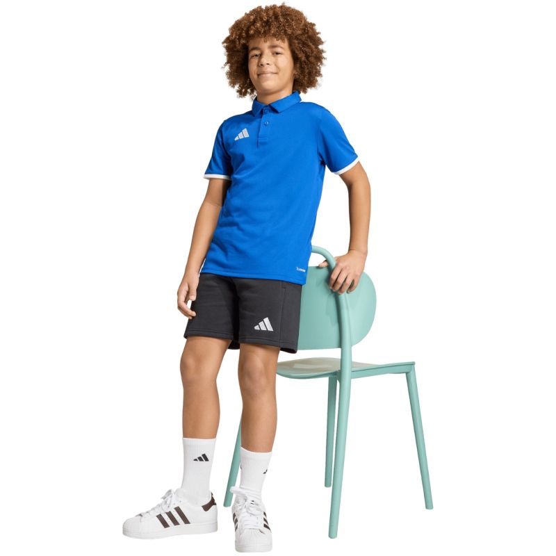 adidas Entrada 26 T-shirt for kids blue JZ6625 104cm póló