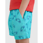Boys' boardshorts 4F 4FJWSS25UBDSM121-47A 158/164 short