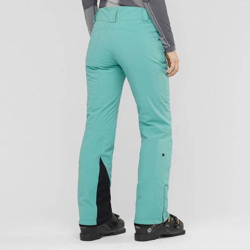 Salomon the Brilliant Snowboard W Lc13940 00 Pants
