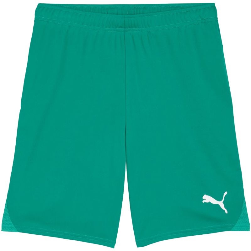 Puma Team Goal men's green 705752 zöld short