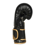 DBX Bushido 10oz Boxing Gloves - Infinity - Origin Series kesztyű