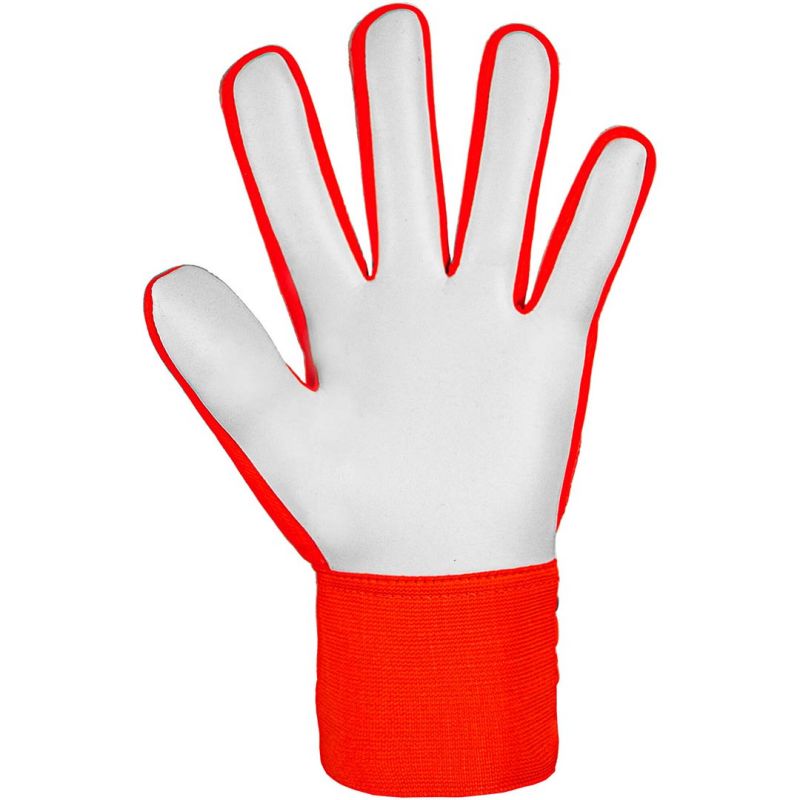 Reusch Attrakt Starter Solid goalkeeper gloves 5470514 2210 Kesztyű