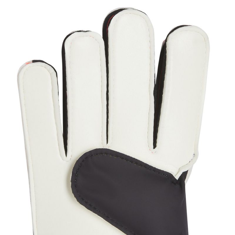adidas Predator GL TRN Jr IX3873 goalkeeper gloves Kiegészítők