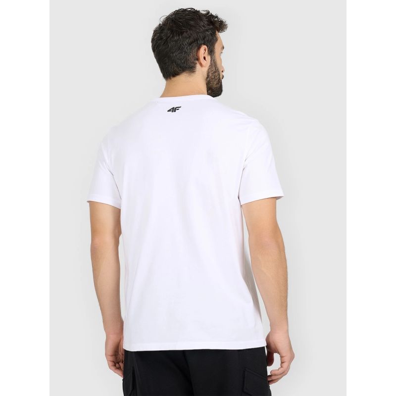 Men's regular printed T-shirt 4F 4FRAW25TTSHM3845-10S póló