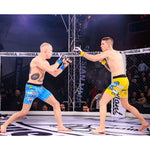 DBX Bushido MMAsparring gloves S/M - Undefeated - Valor Series l/xl kesztyű