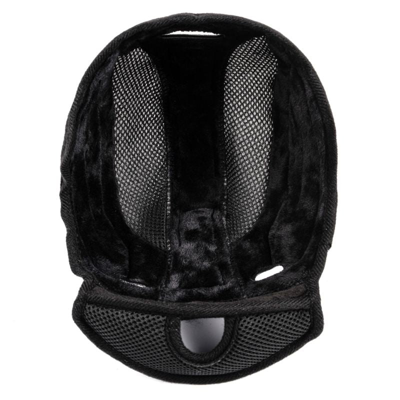 Meteor Holo Ski Helmet