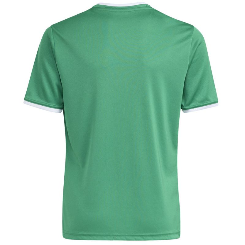 adidas Entrada 26 Jersey green JZ2528 kids' t-shirt zöld futball mez