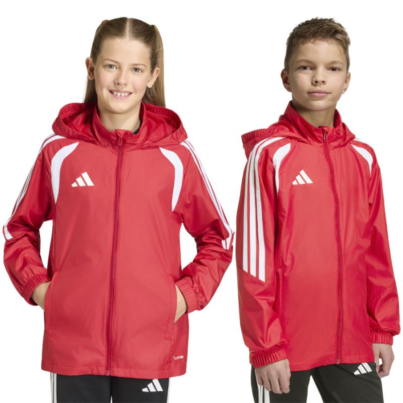 Kép alternatív szöveg