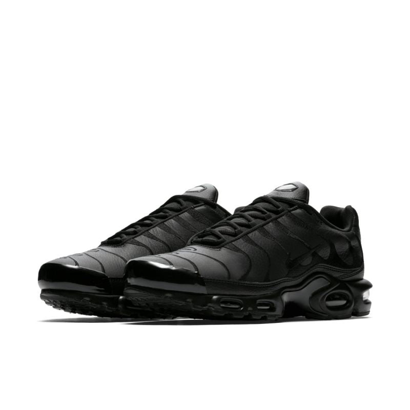 Nike Air Max Plus M AJ2029-001 shoes