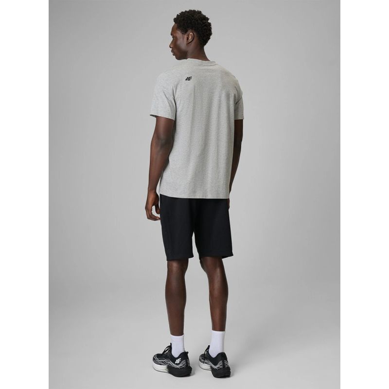 Men's sweatpants 4F