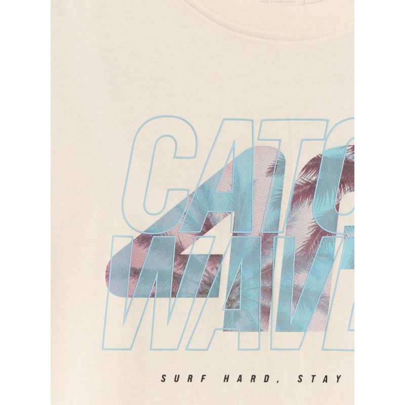 4F Men's regular printed T-shirt póló 4FRSS26TTSHM4295-11S