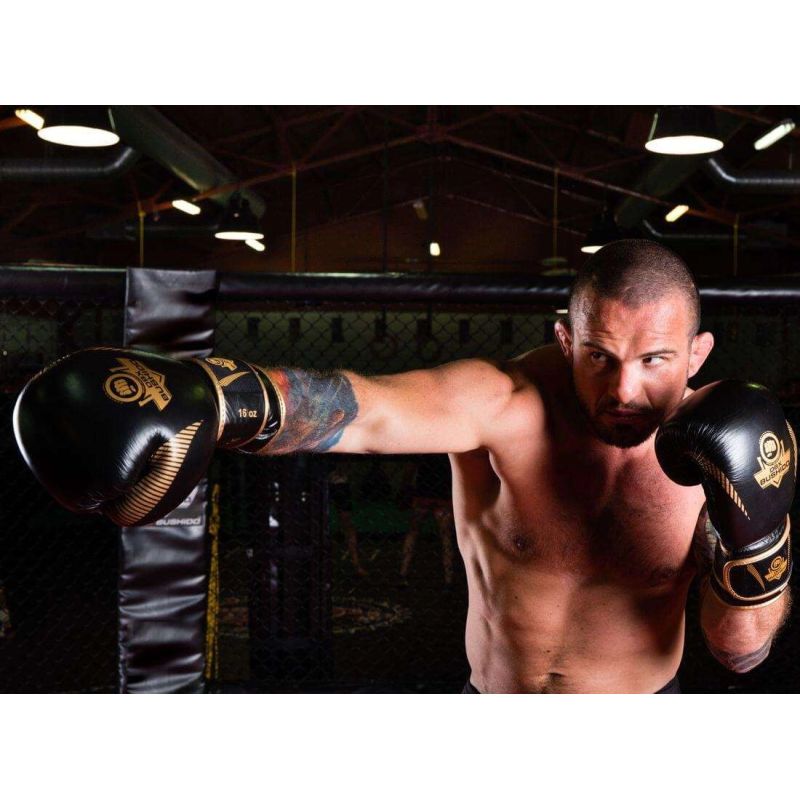 DBX Bushido 10oz Boxing Gloves - Aureos - Valor Series kesztyű