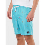Dc All Season Volley 14.5 Youth Shorts SEDBJV03012-BJM0 General