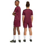 adidas Entrada 26 burgundy kids' JZ6527 104cm short