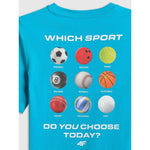 Boy's regular printed T-shirt 4F 4FJRSS26TTSHM3832-33S póló