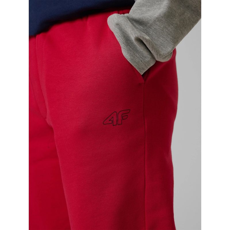 Boys' jogger sweatpants 4F 4FJRSS26TTROM1824-62S pants