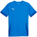 Puma teamGOAL Matchday Jersey Póló