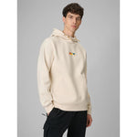 4F Men's regular hooded sweatshirt pulóver 4FRSS26TSWSM2894-12S