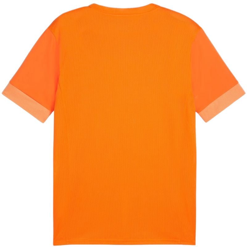 Puma teamGoal Matchday Jersey M 705747 08 póló
