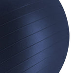 Gym 55cm BLUE FITBALL 55 cm labda