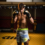 DBX Bushido 8oz Boxing Gloves - Hawk - Origin Series kesztyű