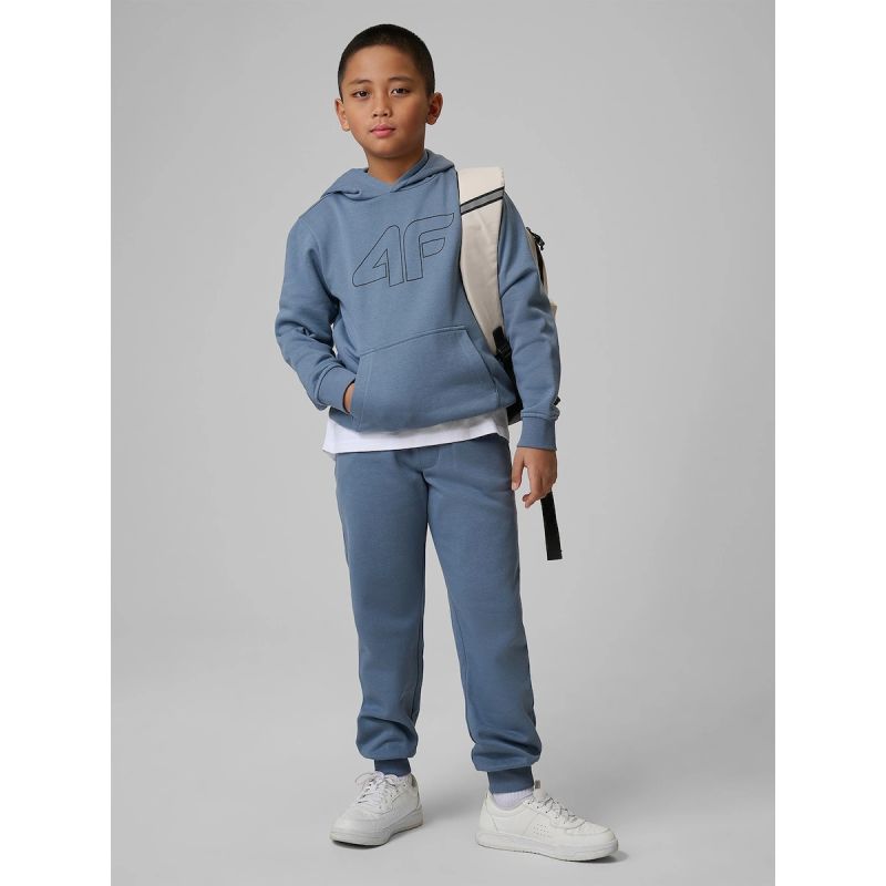 Boy's regular hooded sweatshirt 4F 4FJRSS26TSWSM2748-32S sweatshirts