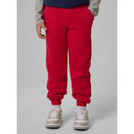 Boys' jogger sweatpants 4F 4FJRSS26TTROM1824-62S pants