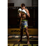 DBX Bushido 10oz Boxing Gloves - Spirit - Valor Series kesztyű