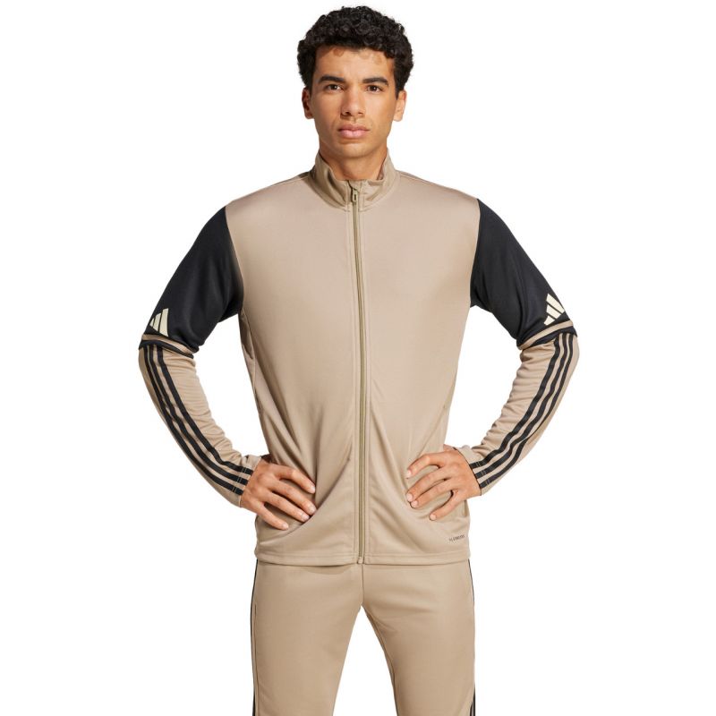 Adidas Squadra 25 Training M JP3391 sweatshirt Pulóver