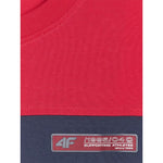 Men's regular printed T-shirt 4F 4FRAW25TTSHM3292-31S póló