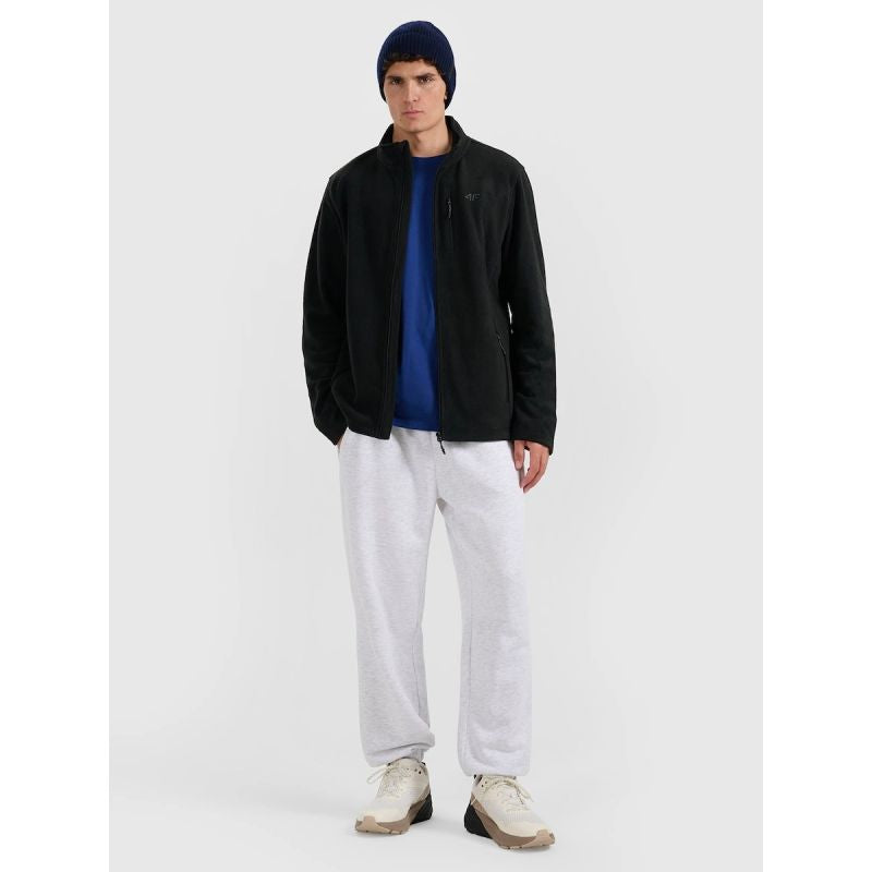 Regular fleece with stand-up collar men's 4F 4FRMM00TFLEM435-20S