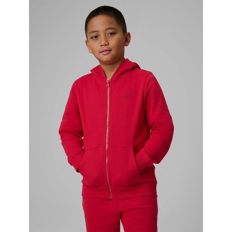 Boy's regular hooded sweatshirt 4F 4FJRSS26TSWSM2749-62S sweatshirts