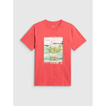 4F Men's regular printed T-shirt póló 4FRSS26TTSHM4304-63S