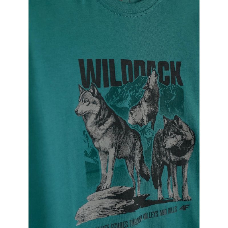4F Boy's regular printed T-shirt gyerek póló