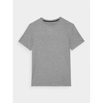 Men's quick-drying regular training T-shirt 4F 4FWAW24TFTSM1003-25M 3xl póló