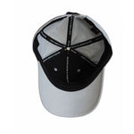 AIR Jordan Rise Structured Metal Jumpman Cap Gray - m/l hats, caps