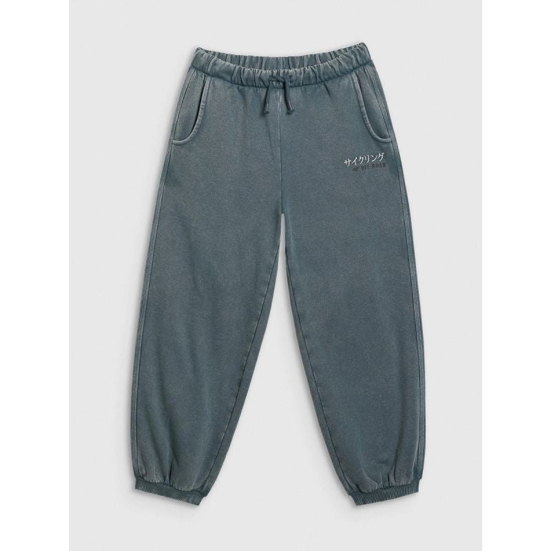 Boys' jogger sweatpants 4F 4FJRAW25TTROM1528-46S