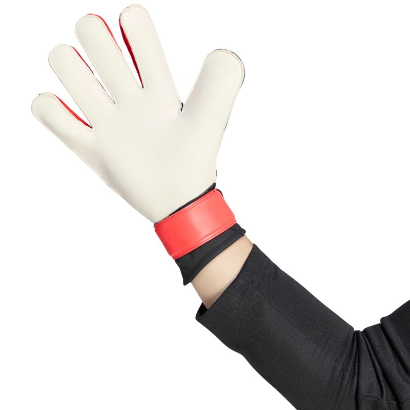 Kép alternatív szöveg